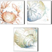 Framed Water Sea Life 3 Piece Canvas Print Set