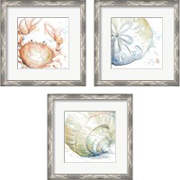 Framed 'Water Sea Life 3 Piece Framed Art Print Set' border=