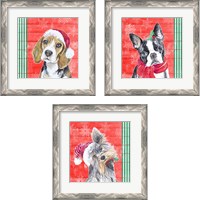 Framed Holiday Puppy 3 Piece Framed Art Print Set