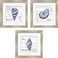 Framed 'Indigo Shell 3 Piece Framed Art Print Set' border=