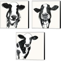 Framed 'Cow Contour 3 Piece Canvas Print Set' border=