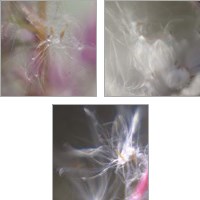 Framed 'Fairy Dance 3 Piece Art Print Set' border=