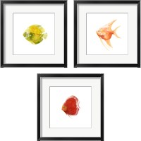 Framed Discus Fish 3 Piece Framed Art Print Set