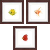 Framed 'Discus Fish 3 Piece Framed Art Print Set' border=