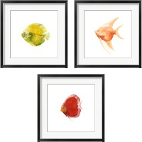 Framed 'Discus Fish 3 Piece Framed Art Print Set' border=