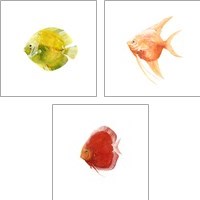 Framed 'Discus Fish 3 Piece Art Print Set' border=