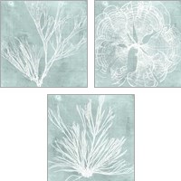 Framed 'Seaweed on Aqua 3 Piece Art Print Set' border=