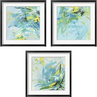 Framed 'Summer Symphony 3 Piece Framed Art Print Set' border=