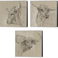 Framed Bison Sketch 3 Piece Canvas Print Set