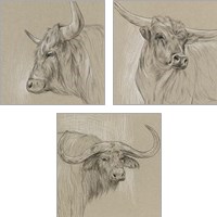Framed Bison Sketch 3 Piece Art Print Set