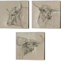 Framed 'Bison Sketch 3 Piece Canvas Print Set' border=