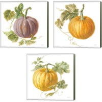 Framed 'Floursack Autumn on White 3 Piece Canvas Print Set' border=