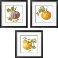Framed Floursack Autumn on White 3 Piece Framed Art Print Set