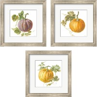 Framed 'Floursack Autumn on White 3 Piece Framed Art Print Set' border=