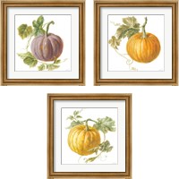 Framed 'Floursack Autumn on White 3 Piece Framed Art Print Set' border=