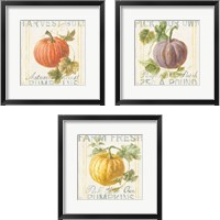 Framed Floursack Autumn 3 Piece Framed Art Print Set