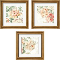 Framed 'Cottage Roses 3 Piece Framed Art Print Set' border=