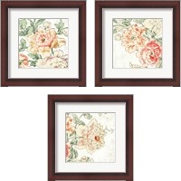 Framed Cottage Roses 3 Piece Framed Art Print Set