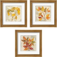 Framed 'November Leaves 3 Piece Framed Art Print Set' border=