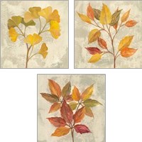 Framed 'November Leaves 3 Piece Art Print Set' border=