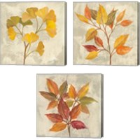 Framed November Leaves 3 Piece Canvas Print Set
