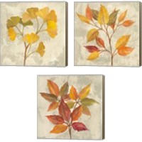 Framed November Leaves 3 Piece Canvas Print Set