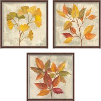 Framed November Leaves 3 Piece Framed Art Print Set