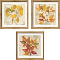 Framed 'November Leaves 3 Piece Framed Art Print Set' border=