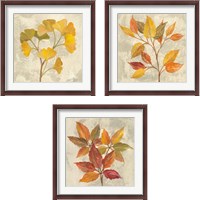 Framed 'November Leaves 3 Piece Framed Art Print Set' border=