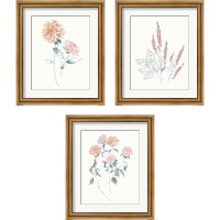 Framed Flowers on White Contemporary Bright 3 Piece Framed Art Print Set
