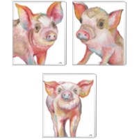 Framed 'Pig 3 Piece Canvas Print Set' border=