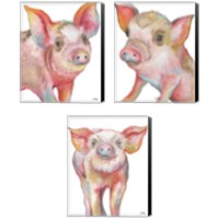 Framed 'Pig 3 Piece Canvas Print Set' border=