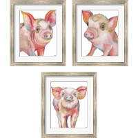 Framed 'Pig 3 Piece Framed Art Print Set' border=