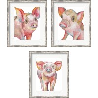 Framed 'Pig 3 Piece Framed Art Print Set' border=