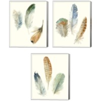 Framed 'Watercolor Feathers 3 Piece Canvas Print Set' border=