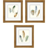 Framed 'Watercolor Feathers 3 Piece Framed Art Print Set' border=