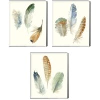 Framed Watercolor Feathers 3 Piece Canvas Print Set