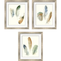 Framed Watercolor Feathers 3 Piece Framed Art Print Set