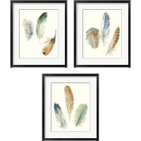 Framed 'Watercolor Feathers 3 Piece Framed Art Print Set' border=