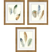 Framed 'Watercolor Feathers 3 Piece Framed Art Print Set' border=