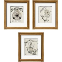 Framed 'Mystical  3 Piece Framed Art Print Set' border=