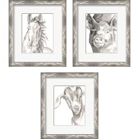 Framed 'Farm Faces 3 Piece Framed Art Print Set' border=