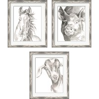 Framed 'Farm Faces 3 Piece Framed Art Print Set' border=
