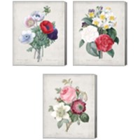 Framed 'Bouquet  3 Piece Canvas Print Set' border=