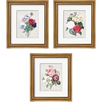 Framed Bouquet  3 Piece Framed Art Print Set