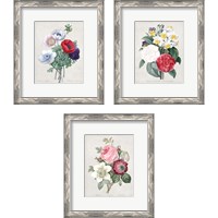 Framed 'Bouquet  3 Piece Framed Art Print Set' border=