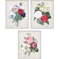 Framed 'Bouquet  3 Piece Art Print Set' border=