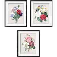 Framed 'Bouquet  3 Piece Framed Art Print Set' border=