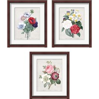 Framed 'Bouquet  3 Piece Framed Art Print Set' border=