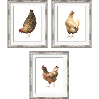 Framed 'Autumn Chicken 3 Piece Framed Art Print Set' border=